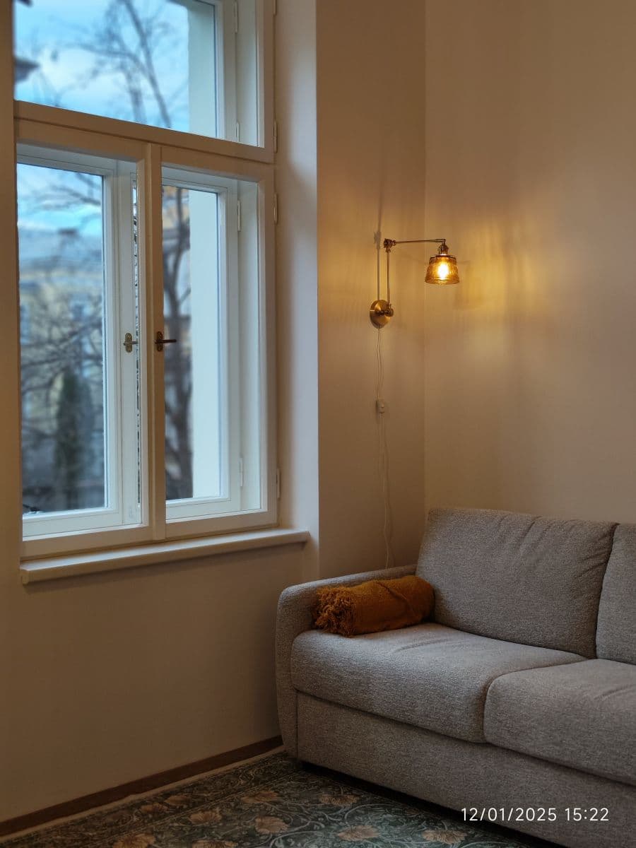 flat to rent, 23 m², Sokolská, Prague, Prague flat to rent, 23 m², Sokolská, Prague, Prague