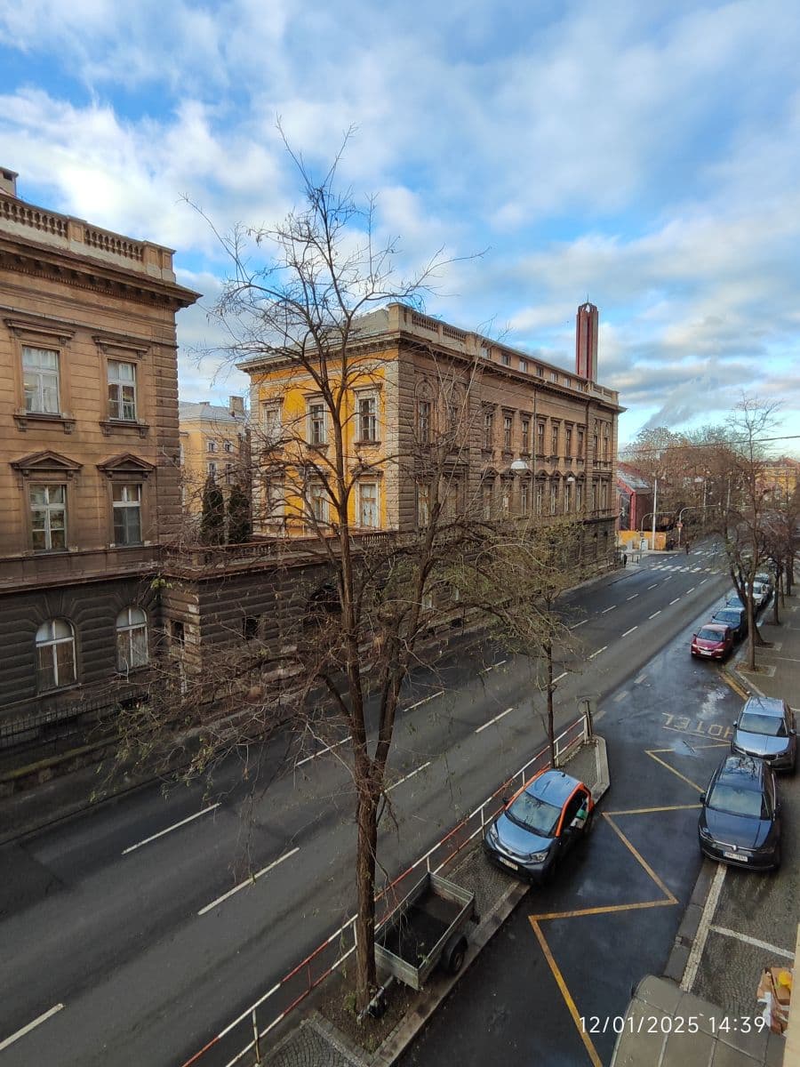 flat to rent, 24 m², Sokolská, Prague, Prague flat to rent, 24 m², Sokolská, Prague, Prague