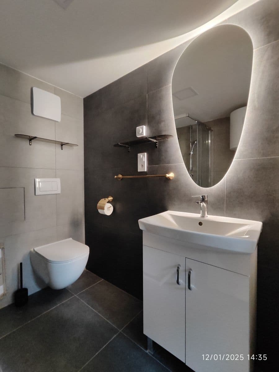 flat to rent, 20 m², Sokolská, Prague, Prague flat to rent, 20 m², Sokolská, Prague, Prague