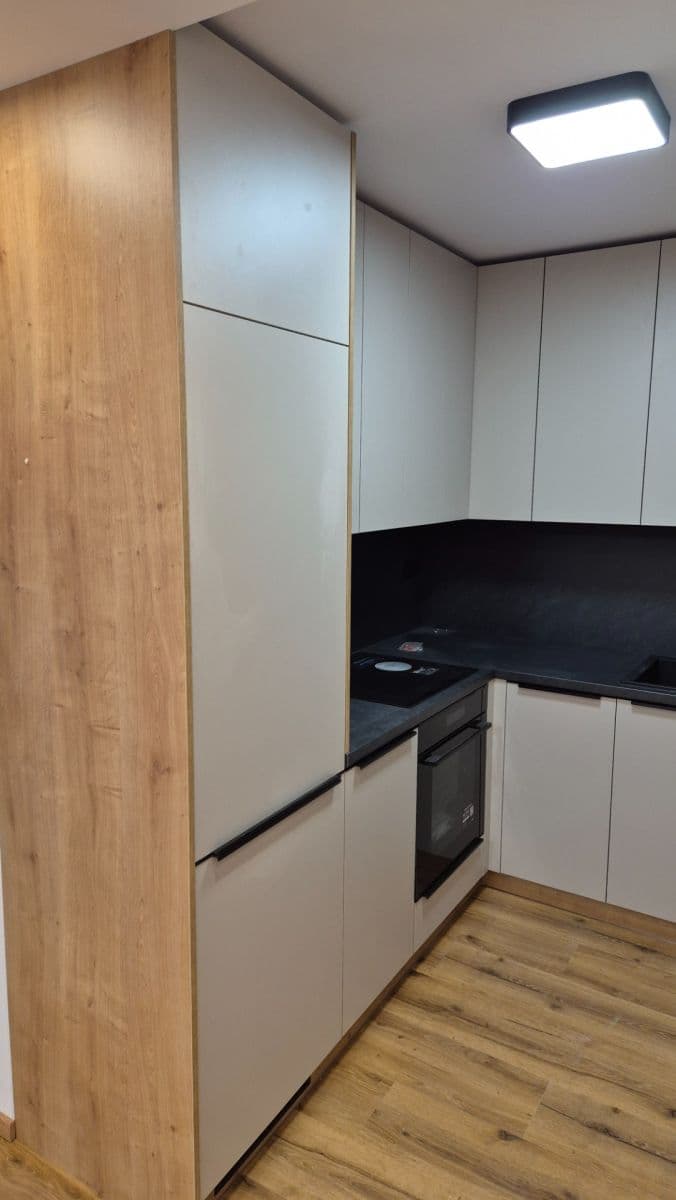 1 bedroom with open-plan kitchen flat to rent, 42 m², Zdiměřická, Prague, Prague 1 bedroom with open-plan kitchen flat to rent, 42 m², Zdiměřická, Prague, Prague