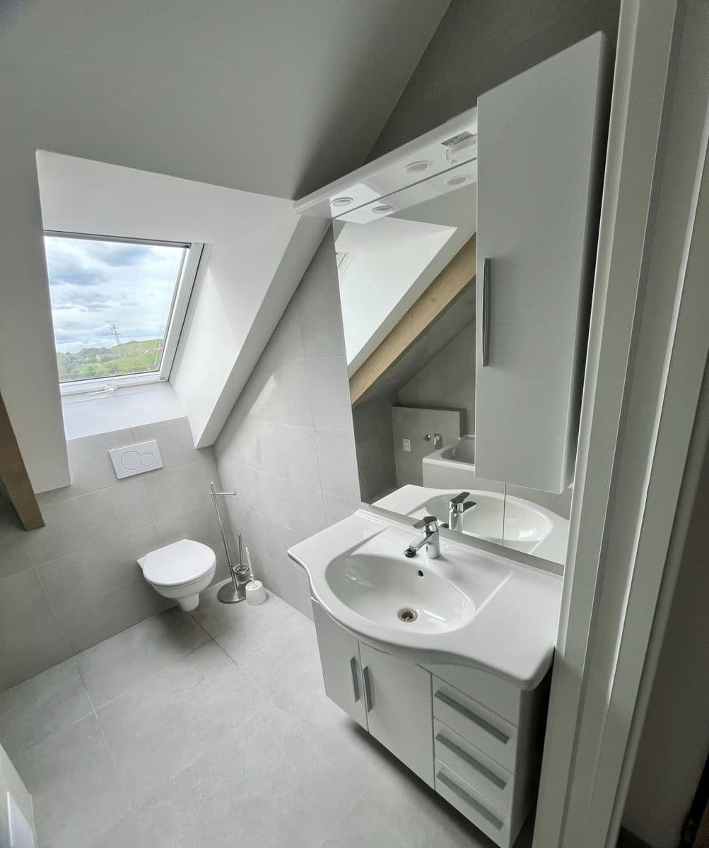 2 bedroom with open-plan kitchen flat to rent, 77 m², Žižkova, Nový Knín, Středočeský Region 2 bedroom with open-plan kitchen flat to rent, 77 m², Žižkova, Nový Knín, Středočeský Region