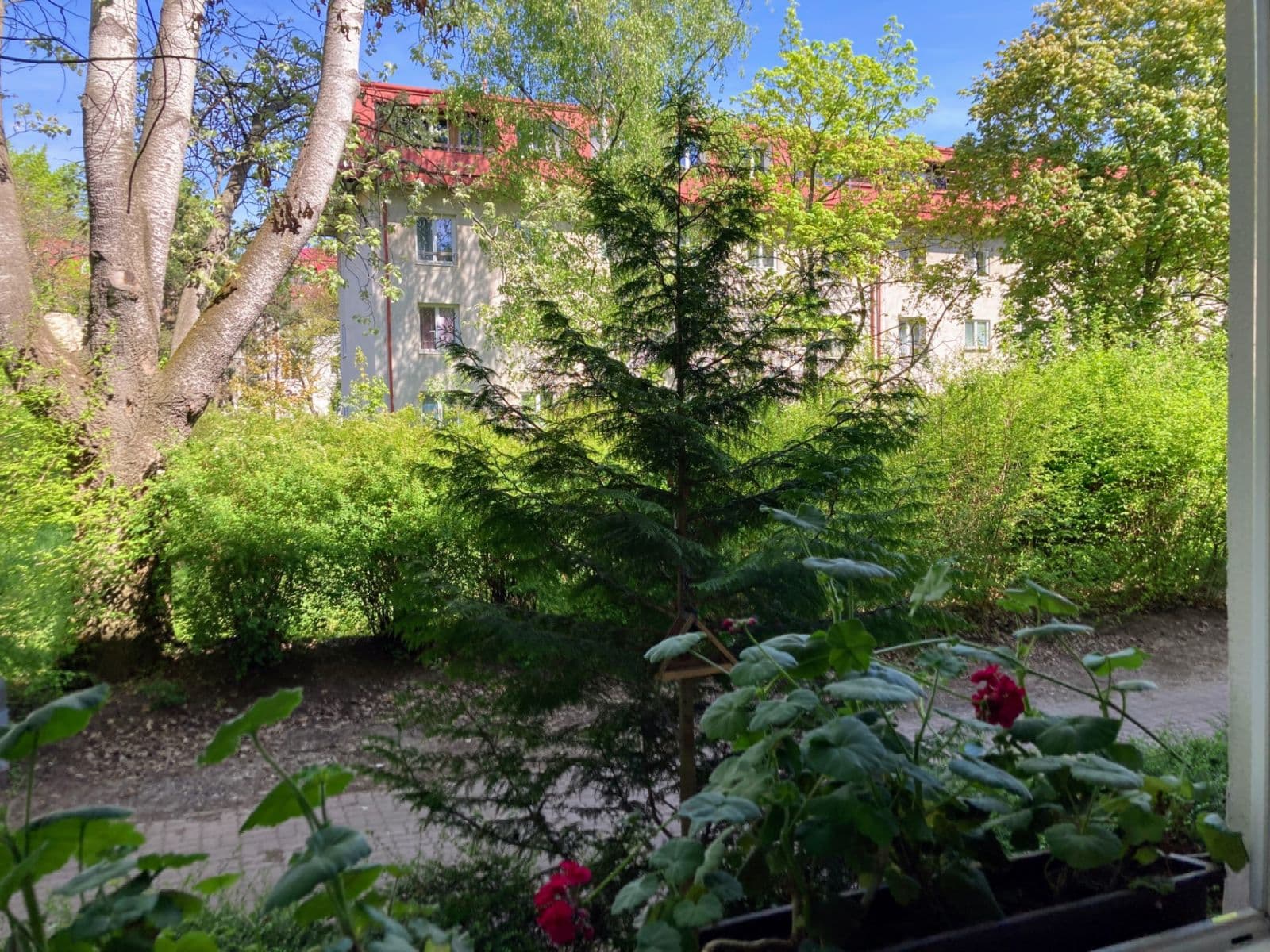 3 bedroom flat to rent, 63 m², Vršní, Prague, Prague 3 bedroom flat to rent, 63 m², Vršní, Prague, Prague