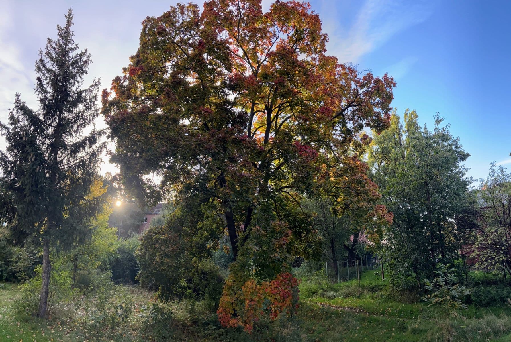 3 bedroom flat to rent, 63 m², Vršní, Prague, Prague 3 bedroom flat to rent, 63 m², Vršní, Prague, Prague