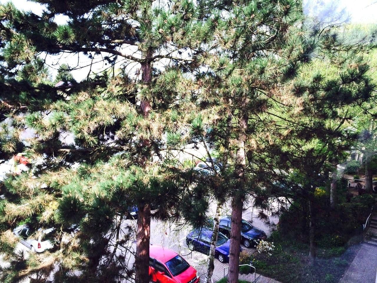 4 bedroom flat for sale, 94 m², Frank-Wedekind-Straße 00, Wiesbaden, Hesse 4 bedroom flat for sale, 94 m², Frank-Wedekind-Straße 00, Wiesbaden, Hesse