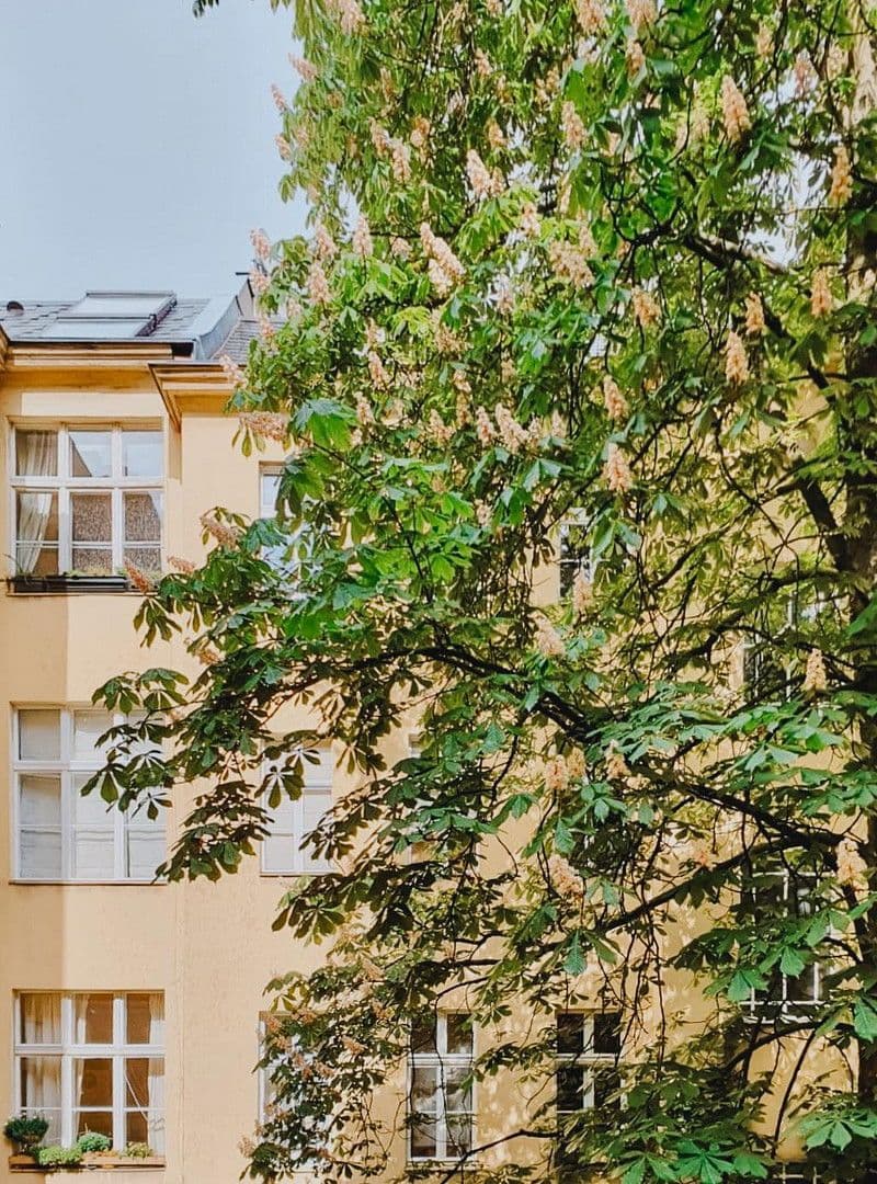 2 bedroom flat for sale, 70 m², Erdmannstraße, Berlin, Berlin 2 bedroom flat for sale, 70 m², Erdmannstraße, Berlin, Berlin