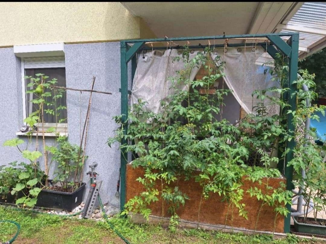 3 bedroom flat to rent, 78 m², Helenenstrasse, Baden bei Wien, Lower Austria 3 bedroom flat to rent, 78 m², Helenenstrasse, Baden bei Wien, Lower Austria