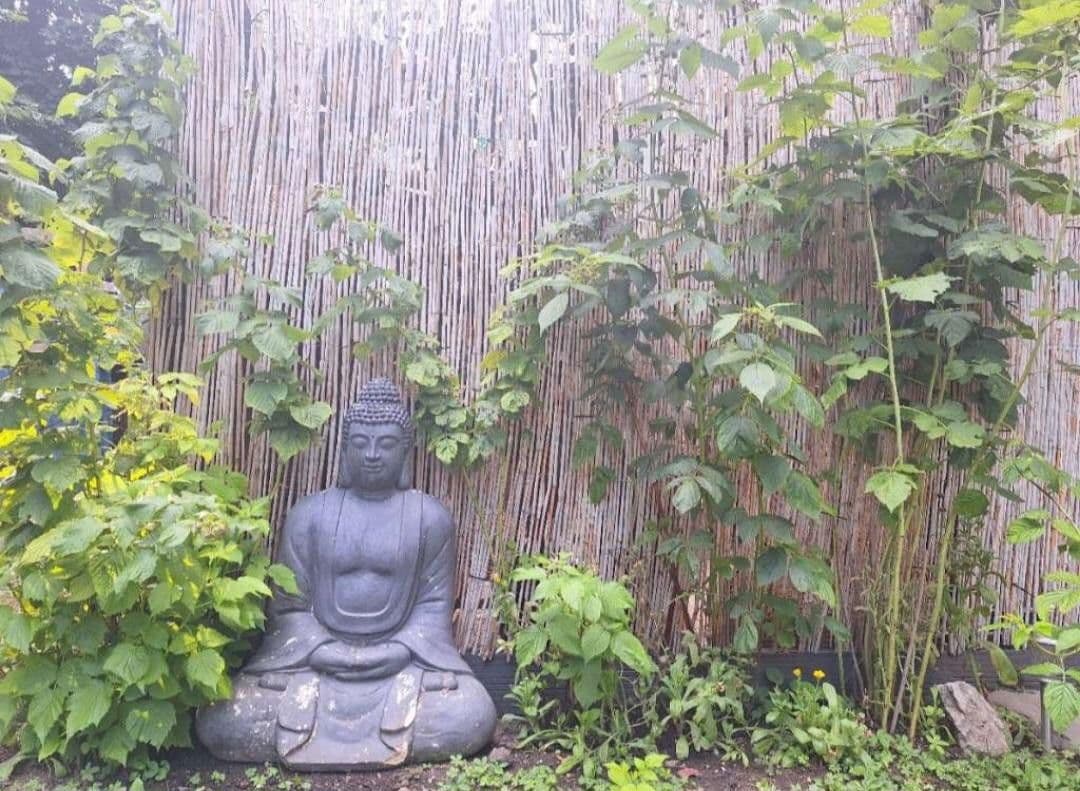 3 bedroom flat to rent, 78 m², Helenenstrasse, Baden bei Wien, Lower Austria 3 bedroom flat to rent, 78 m², Helenenstrasse, Baden bei Wien, Lower Austria