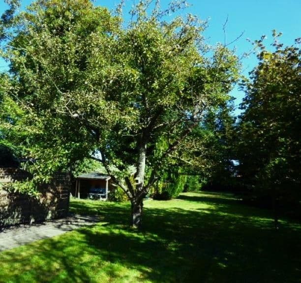 house for sale, 158 m², Rechtsupweg, Lower Saxony house for sale, 158 m², Rechtsupweg, Lower Saxony