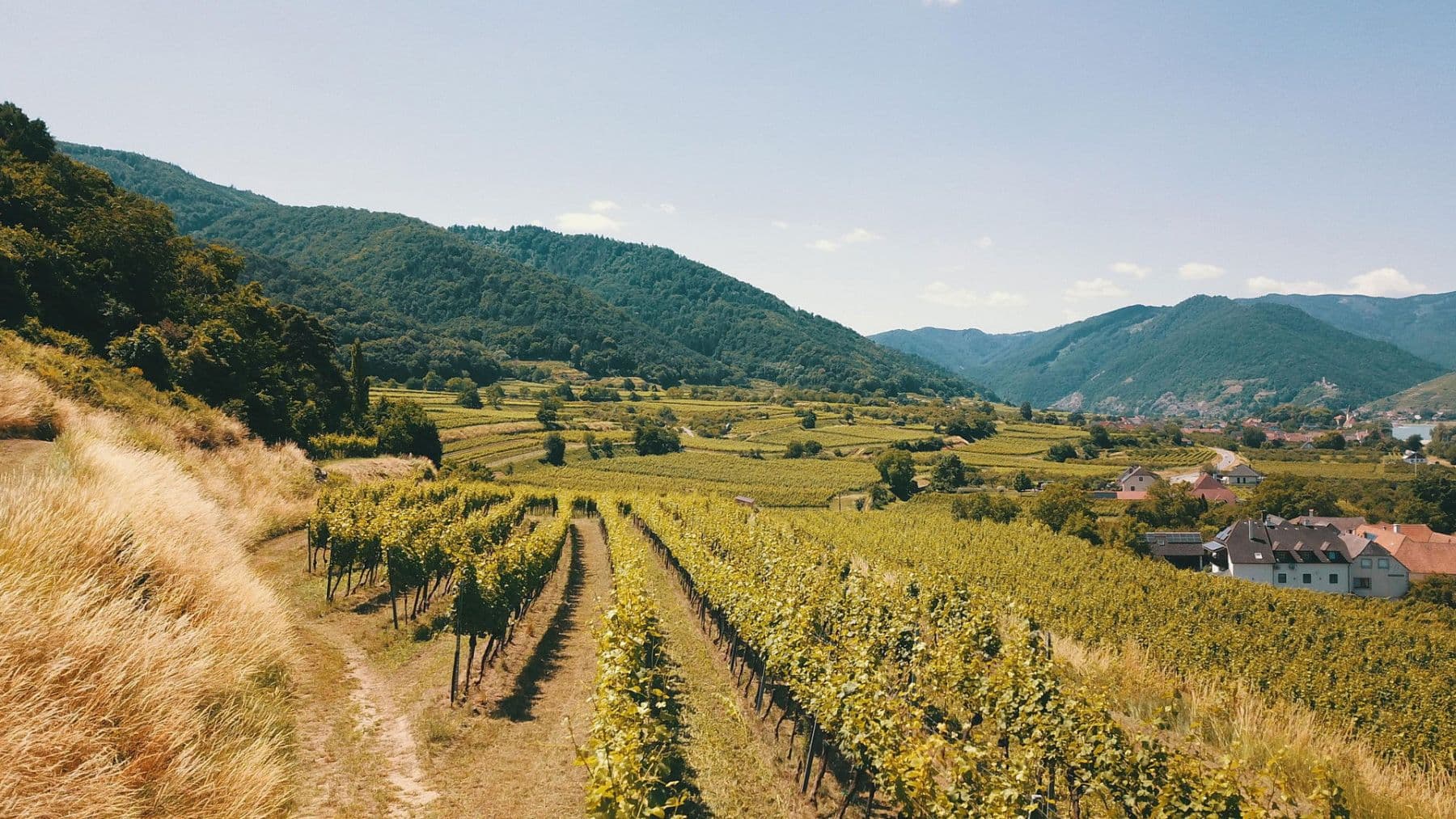 plot for sale, 3,596 m², Mitterarnsdorf, Lower Austria plot for sale, 3,596 m², Mitterarnsdorf, Lower Austria