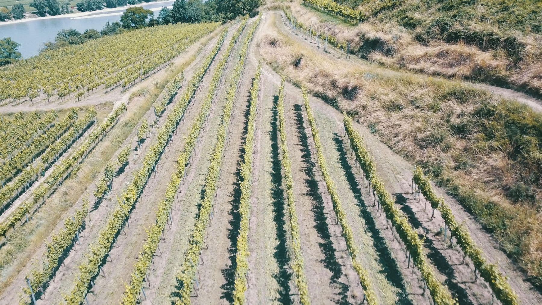 plot for sale, 3,596 m², Mitterarnsdorf, Lower Austria plot for sale, 3,596 m², Mitterarnsdorf, Lower Austria