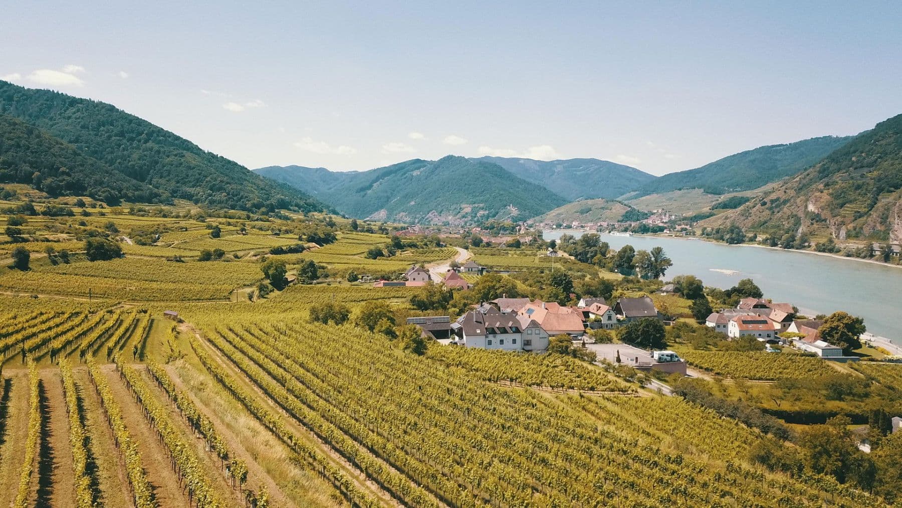 plot for sale, 3,596 m², Mitterarnsdorf, Lower Austria plot for sale, 3,596 m², Mitterarnsdorf, Lower Austria