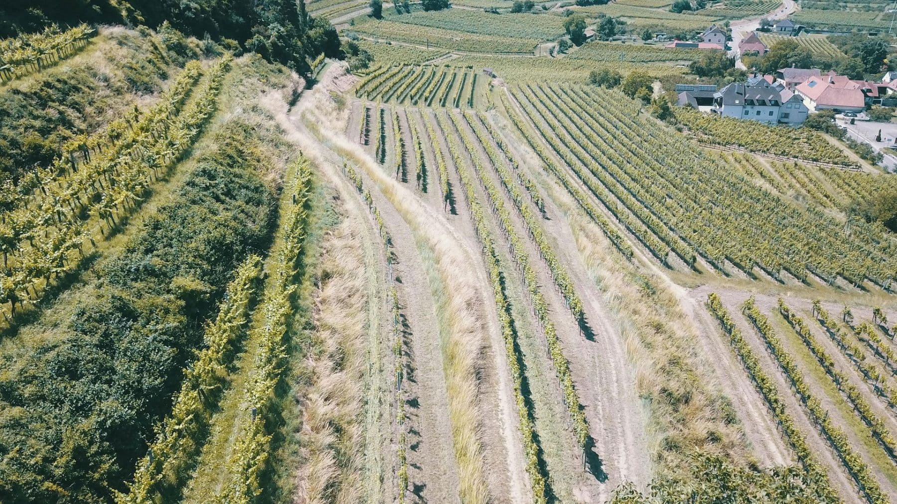 plot for sale, 3,596 m², Mitterarnsdorf, Lower Austria plot for sale, 3,596 m², Mitterarnsdorf, Lower Austria