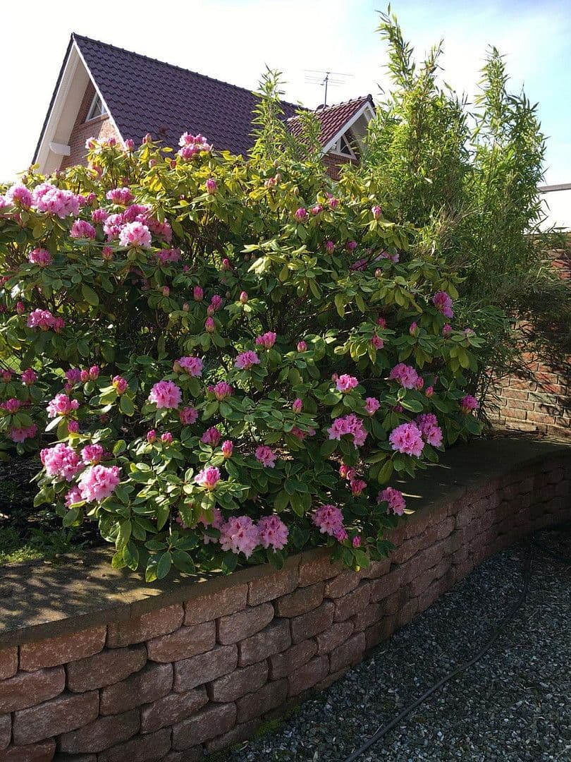 house for sale, 170 m², Grömitz, Schleswig-Holstein house for sale, 170 m², Grömitz, Schleswig-Holstein