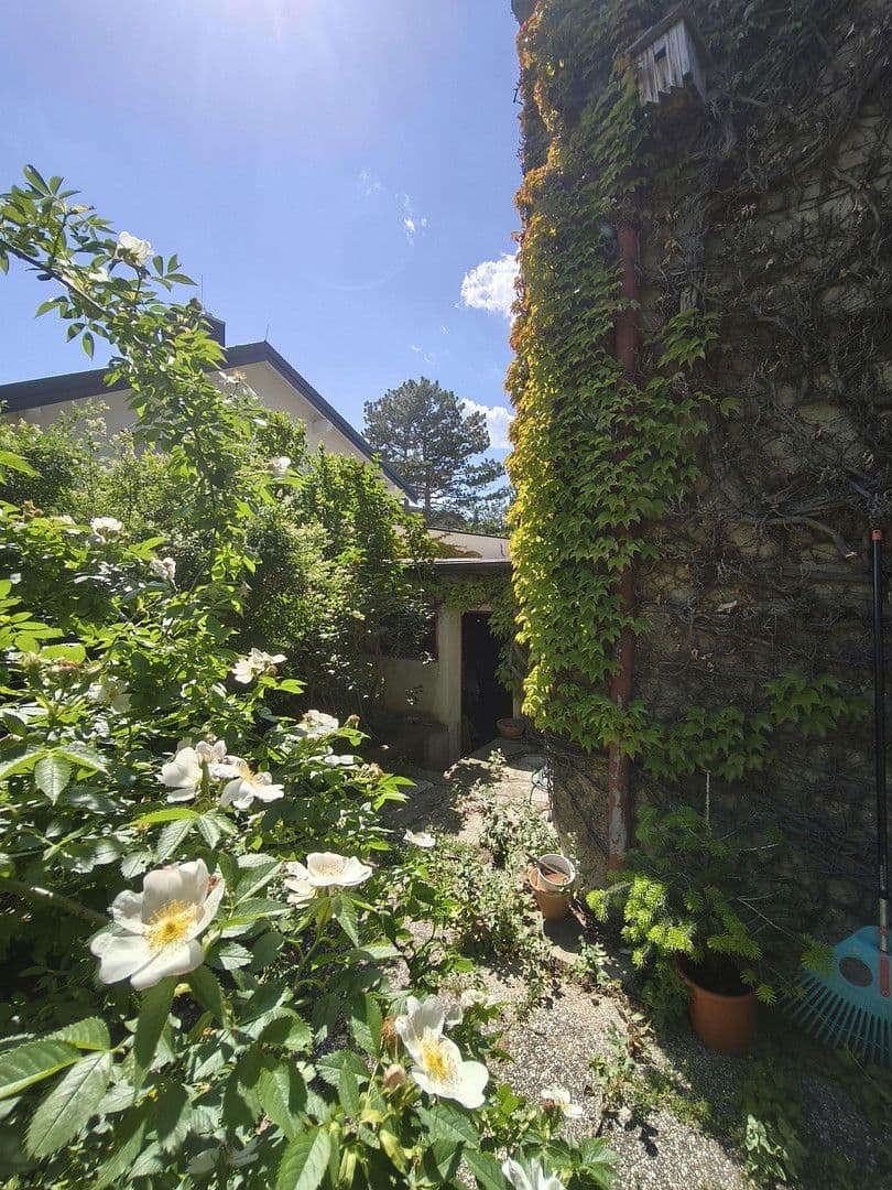 house for sale, 150 m², Heudörfelgasse 5, Wien, Vienna house for sale, 150 m², Heudörfelgasse 5, Wien, Vienna