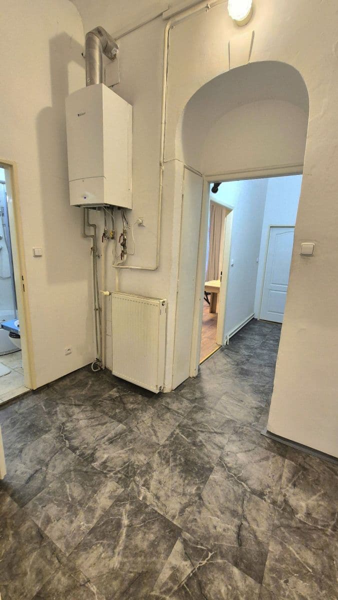 1 bedroom with open-plan kitchen flat to rent, 55 m², Bolzanova, Prague, Prague 1 bedroom with open-plan kitchen flat to rent, 55 m², Bolzanova, Prague, Prague