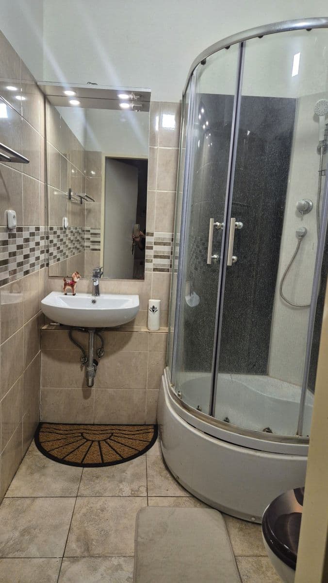 1 bedroom with open-plan kitchen flat to rent, 55 m², Bolzanova, Prague, Prague 1 bedroom with open-plan kitchen flat to rent, 55 m², Bolzanova, Prague, Prague