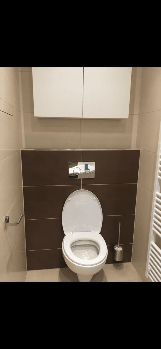 1 bedroom with open-plan kitchen flat to rent, 41 m², Geologická, Prague, Prague 1 bedroom with open-plan kitchen flat to rent, 41 m², Geologická, Prague, Prague