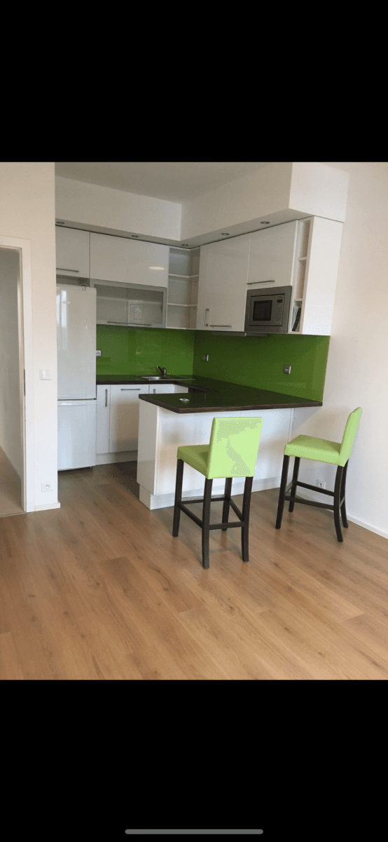 1 bedroom with open-plan kitchen flat to rent, 41 m², Geologická, Prague, Prague 1 bedroom with open-plan kitchen flat to rent, 41 m², Geologická, Prague, Prague