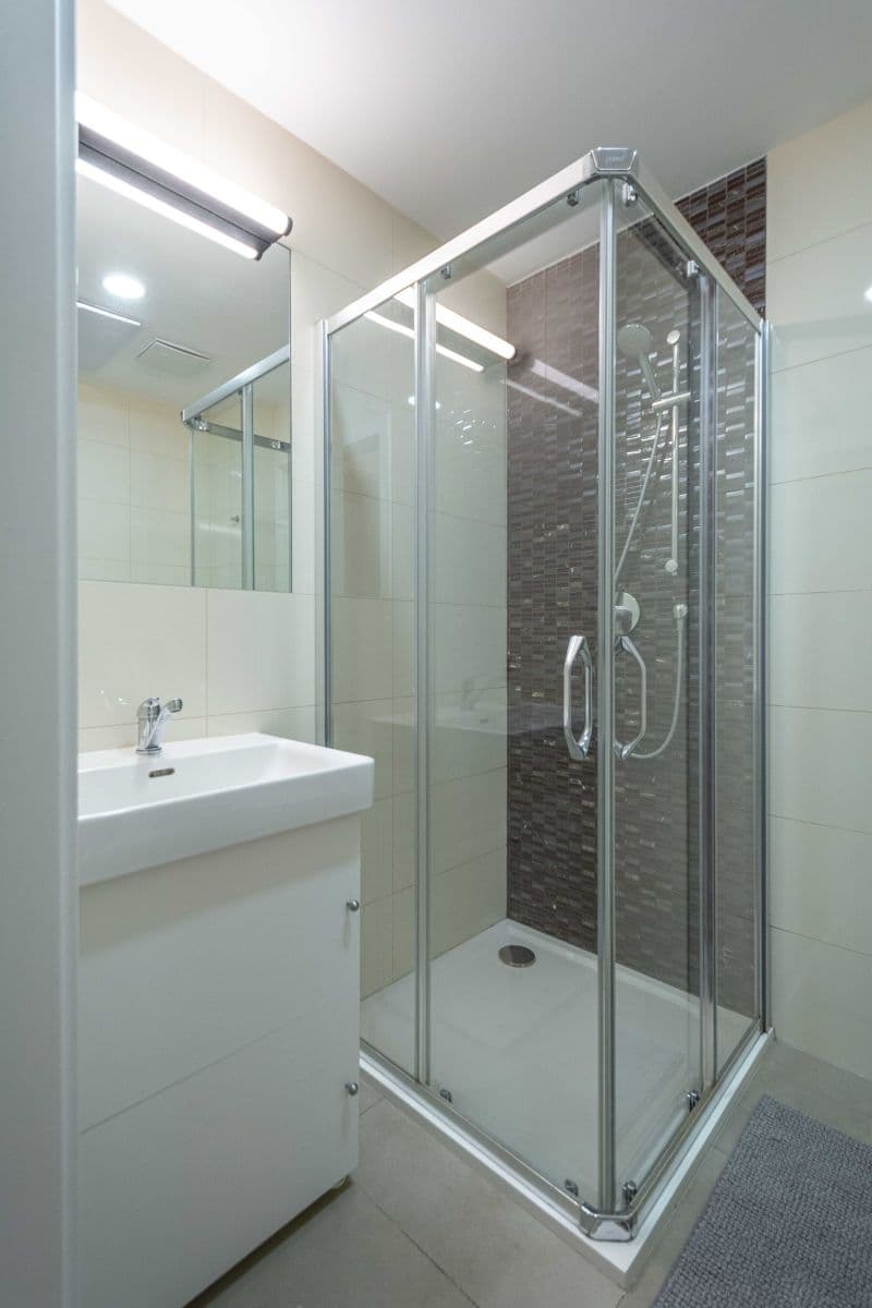 flat to rent, 19 m², Čelakovského sady, Prague, Prague flat to rent, 19 m², Čelakovského sady, Prague, Prague