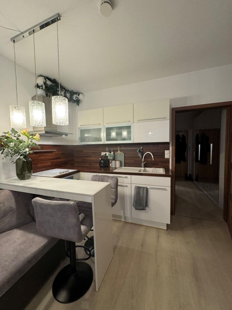 Studio flat to rent, 47 m², Květná, Plzeň, Plzeňský Region Studio flat to rent, 47 m², Květná, Plzeň, Plzeňský Region