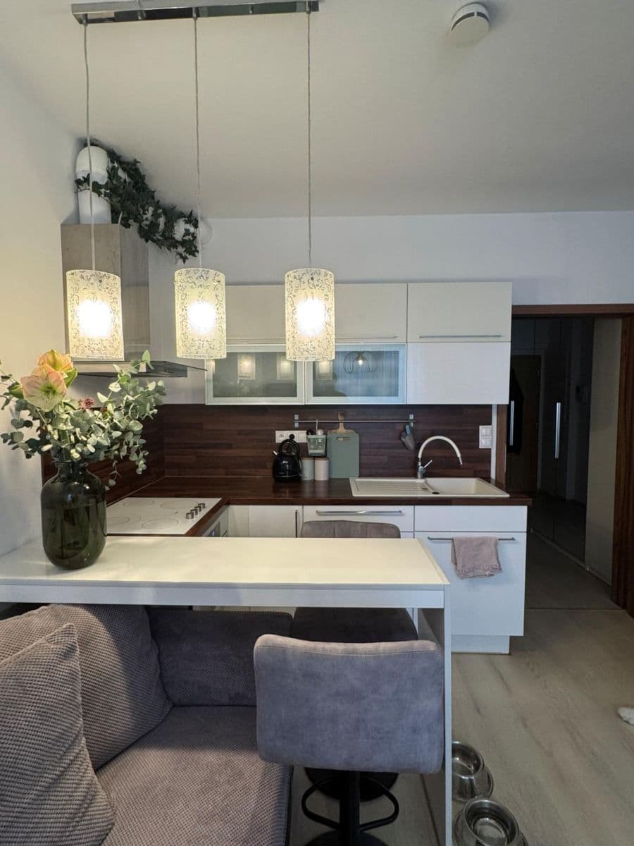 Studio flat to rent, 47 m², Květná, Plzeň, Plzeňský Region Studio flat to rent, 47 m², Květná, Plzeň, Plzeňský Region