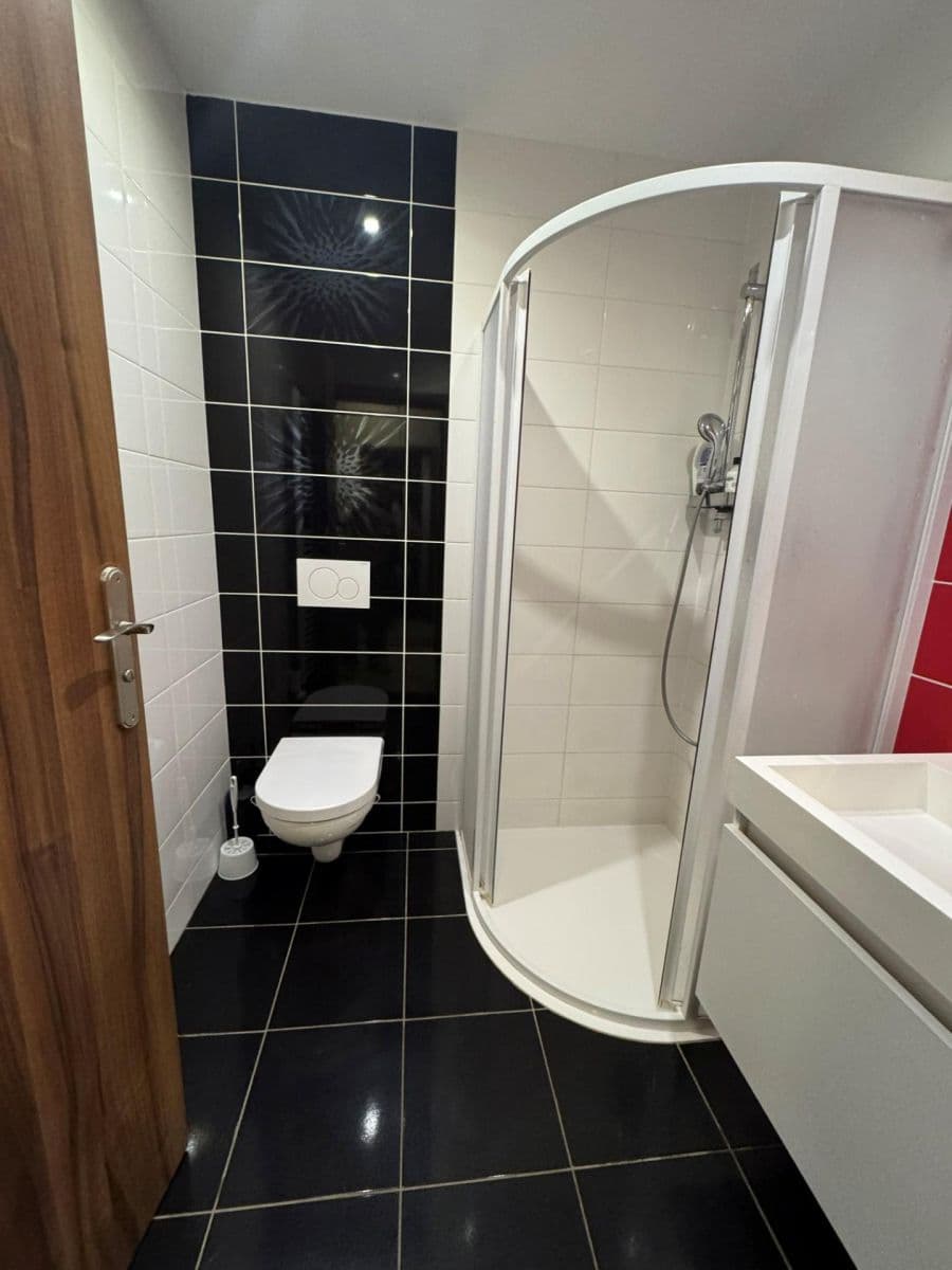 Studio flat to rent, 47 m², Květná, Plzeň, Plzeňský Region Studio flat to rent, 47 m², Květná, Plzeň, Plzeňský Region