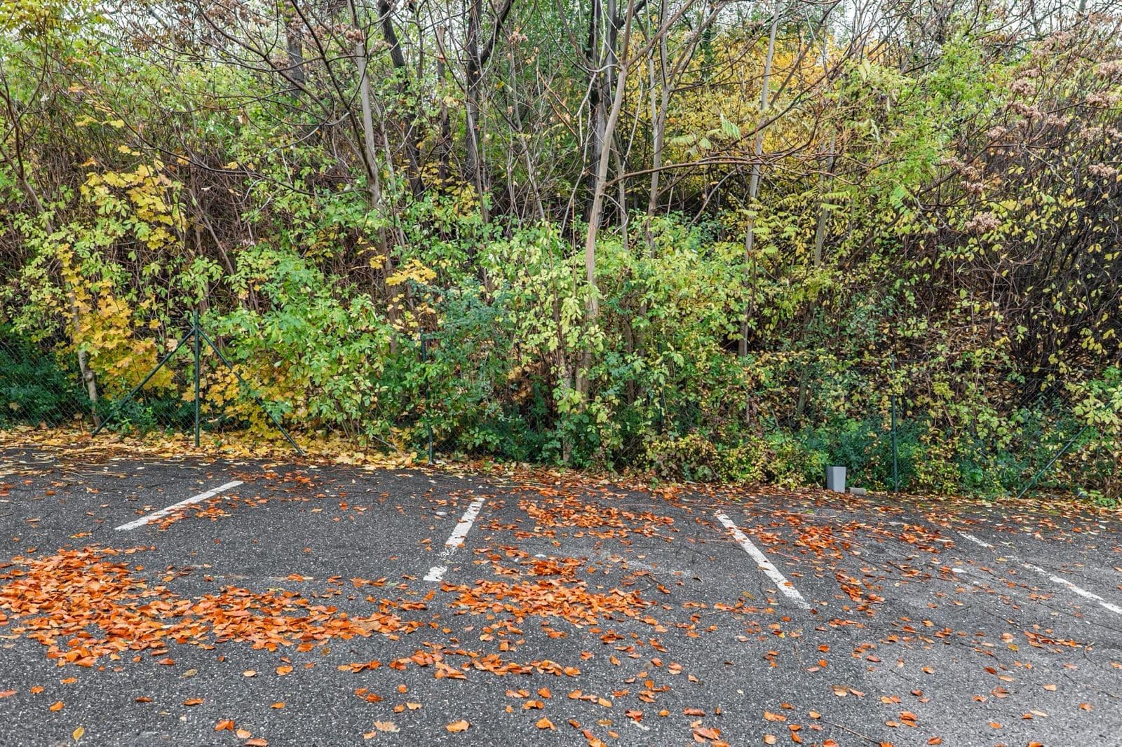 office to rent, 60 m², Kotlaska, Prague, Prague office to rent, 60 m², Kotlaska, Prague, Prague