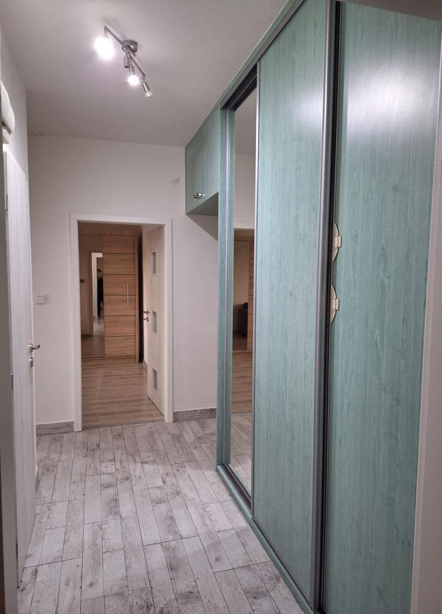 2 bedroom with open-plan kitchen flat for sale, 54 m², Plaňanská, Prague, Prague 2 bedroom with open-plan kitchen flat for sale, 54 m², Plaňanská, Prague, Prague