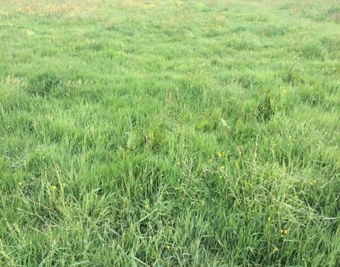 plot for sale, 7,600 m², Leipzig, Saxony plot for sale, 7,600 m², Leipzig, Saxony