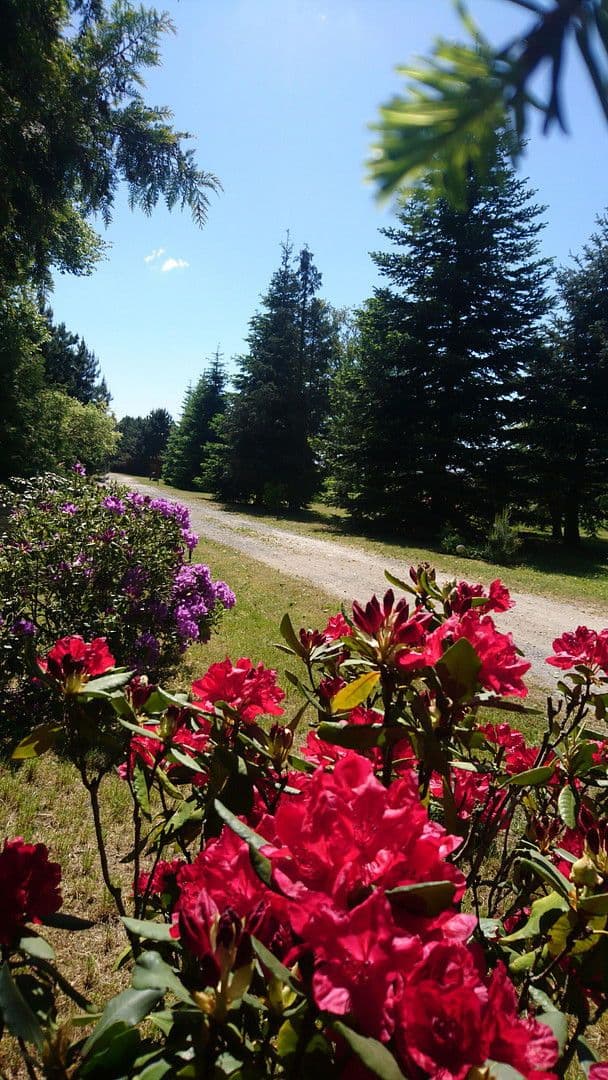 house for sale, 167 m², Gablenz - Jabłońc, Saxony house for sale, 167 m², Gablenz - Jabłońc, Saxony