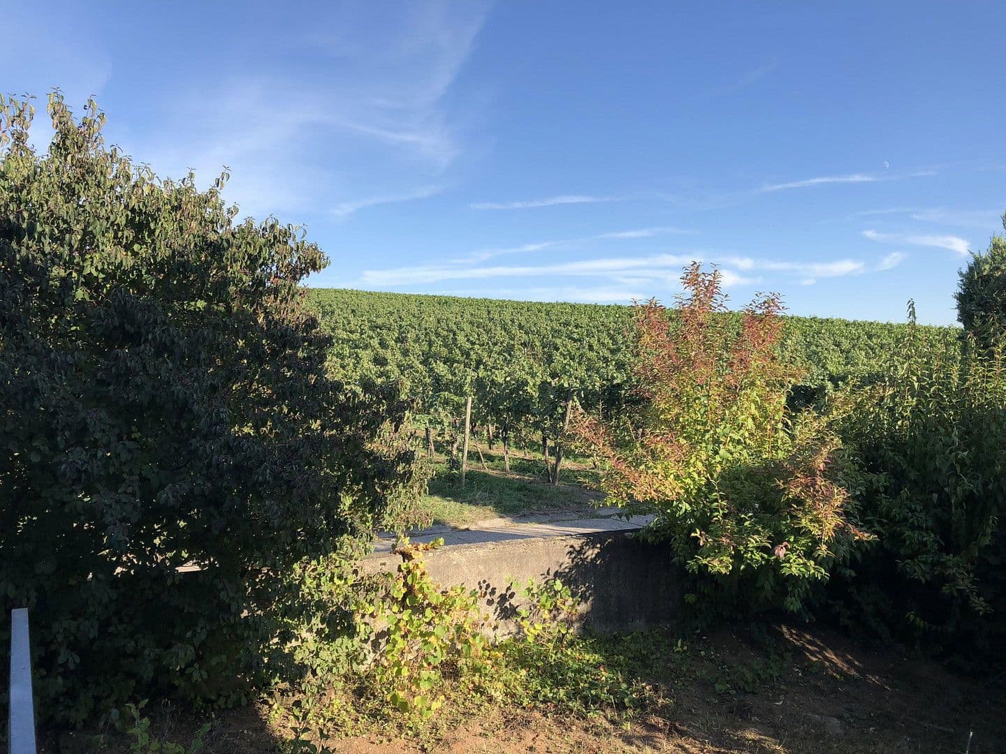 5 bedroom flat to rent, 136 m², Weinstadt, Baden-Württemberg 5 bedroom flat to rent, 136 m², Weinstadt, Baden-Württemberg