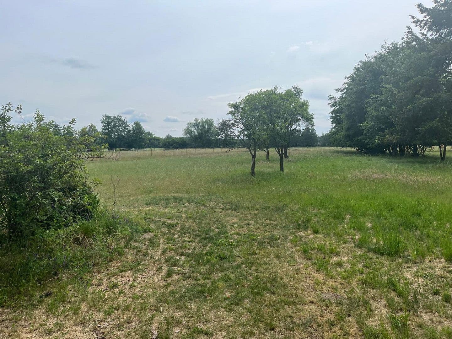 plot for sale, 2,342 m², Spreenhagen, Brandenburg plot for sale, 2,342 m², Spreenhagen, Brandenburg