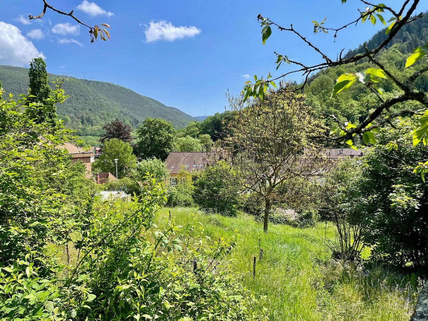 house for sale, 346 m², Hausbergstrasse 8, Frankeneck, Rhineland-Palatinate house for sale, 346 m², Hausbergstrasse 8, Frankeneck, Rhineland-Palatinate