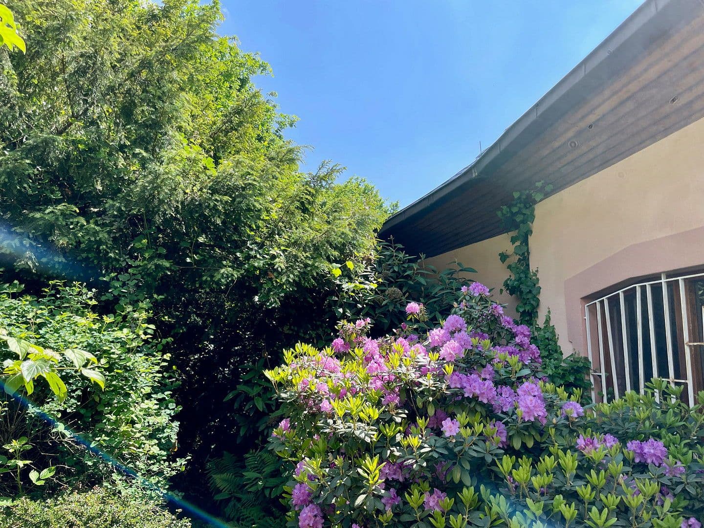 house for sale, 346 m², Hausbergstrasse 8, Frankeneck, Rhineland-Palatinate house for sale, 346 m², Hausbergstrasse 8, Frankeneck, Rhineland-Palatinate