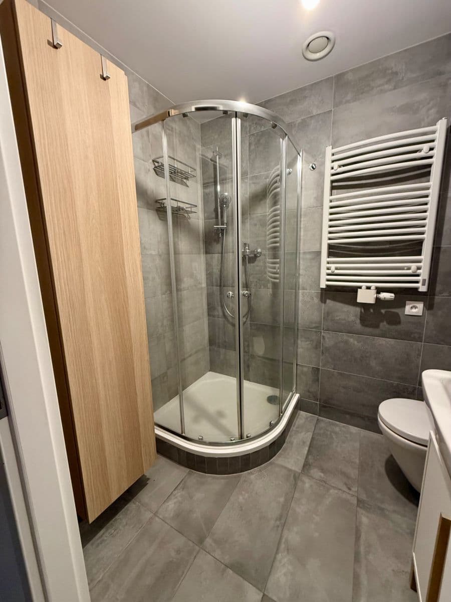 1 bedroom with open-plan kitchen flat to rent, 52 m², Hadovitá, Prague, Prague 1 bedroom with open-plan kitchen flat to rent, 52 m², Hadovitá, Prague, Prague