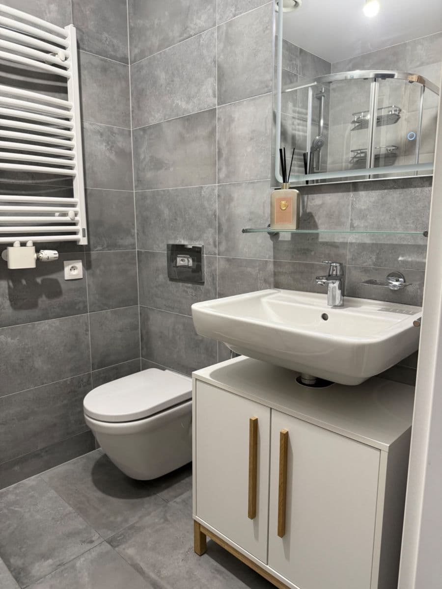 1 bedroom with open-plan kitchen flat to rent, 52 m², Hadovitá, Prague, Prague 1 bedroom with open-plan kitchen flat to rent, 52 m², Hadovitá, Prague, Prague