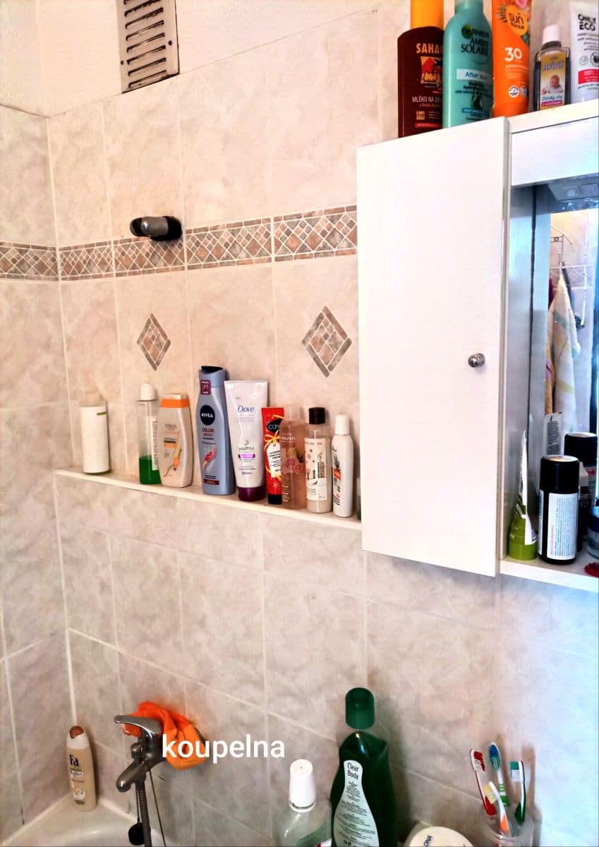 2 bedroom flat for sale, 53 m², Zábělská, Plzeň, Plzeňský Region 2 bedroom flat for sale, 53 m², Zábělská, Plzeň, Plzeňský Region