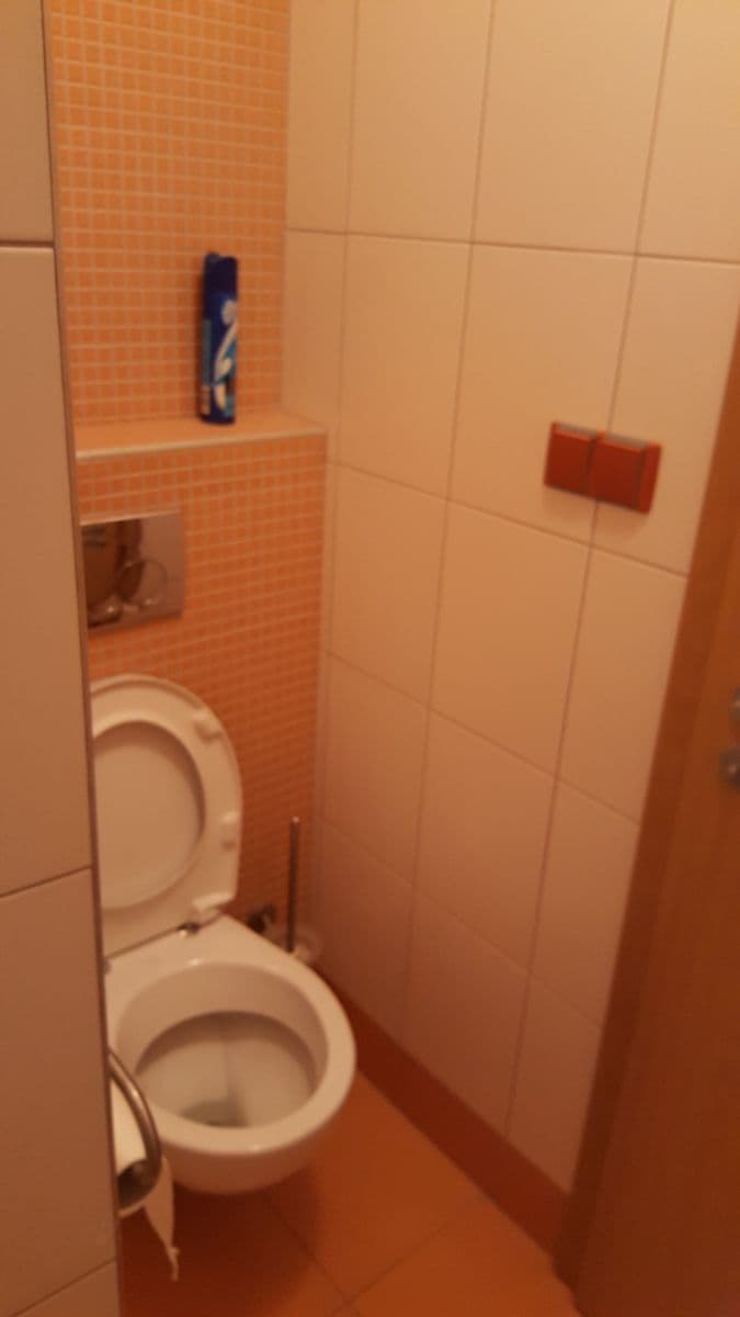 2 bedroom with open-plan kitchen flat to rent, 88 m², Dolnokrčská, Prague, Prague 2 bedroom with open-plan kitchen flat to rent, 88 m², Dolnokrčská, Prague, Prague