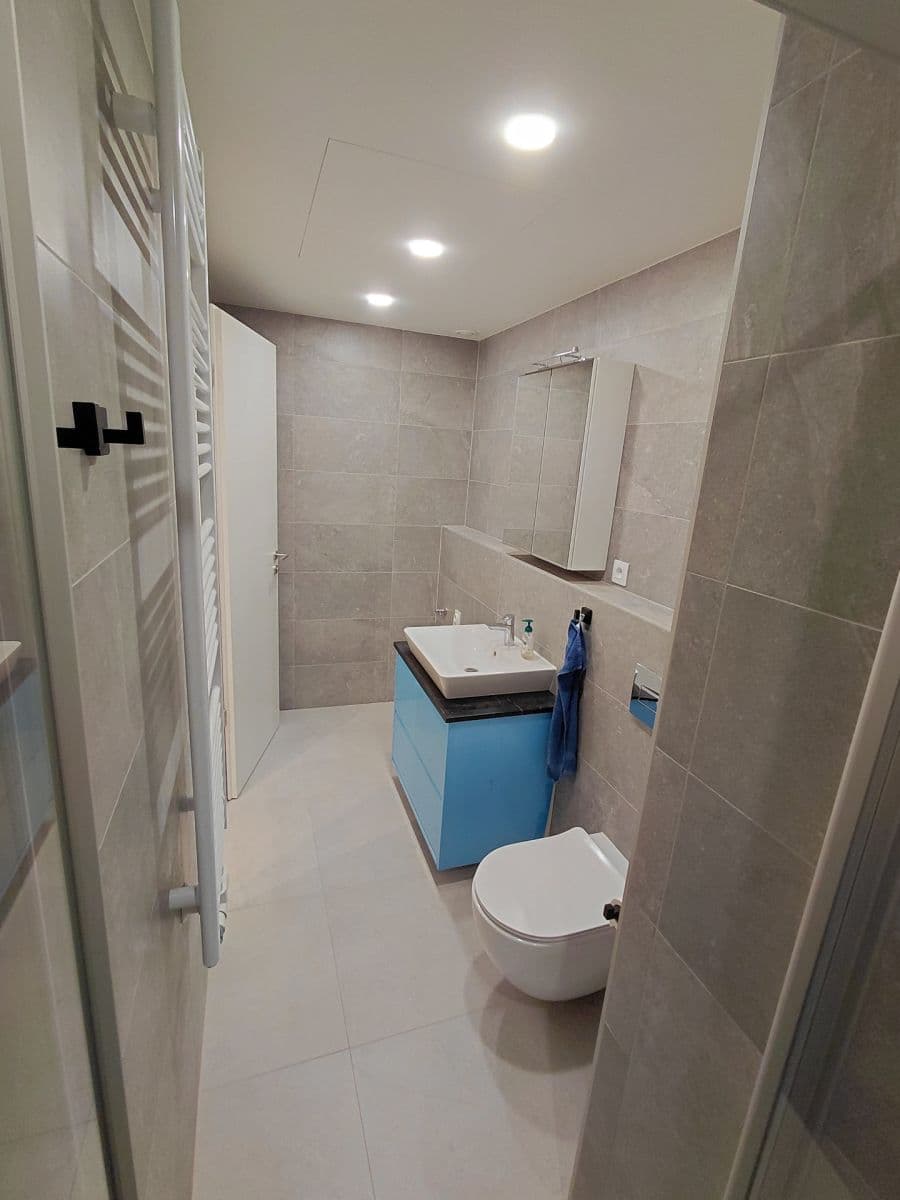 1 bedroom with open-plan kitchen flat to rent, 54 m², Českobrodská, Prague, Prague 1 bedroom with open-plan kitchen flat to rent, 54 m², Českobrodská, Prague, Prague