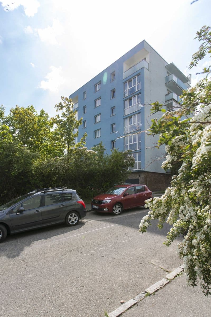 1 bedroom with open-plan kitchen flat to rent, 47 m², Česká, Prague, Prague 1 bedroom with open-plan kitchen flat to rent, 47 m², Česká, Prague, Prague