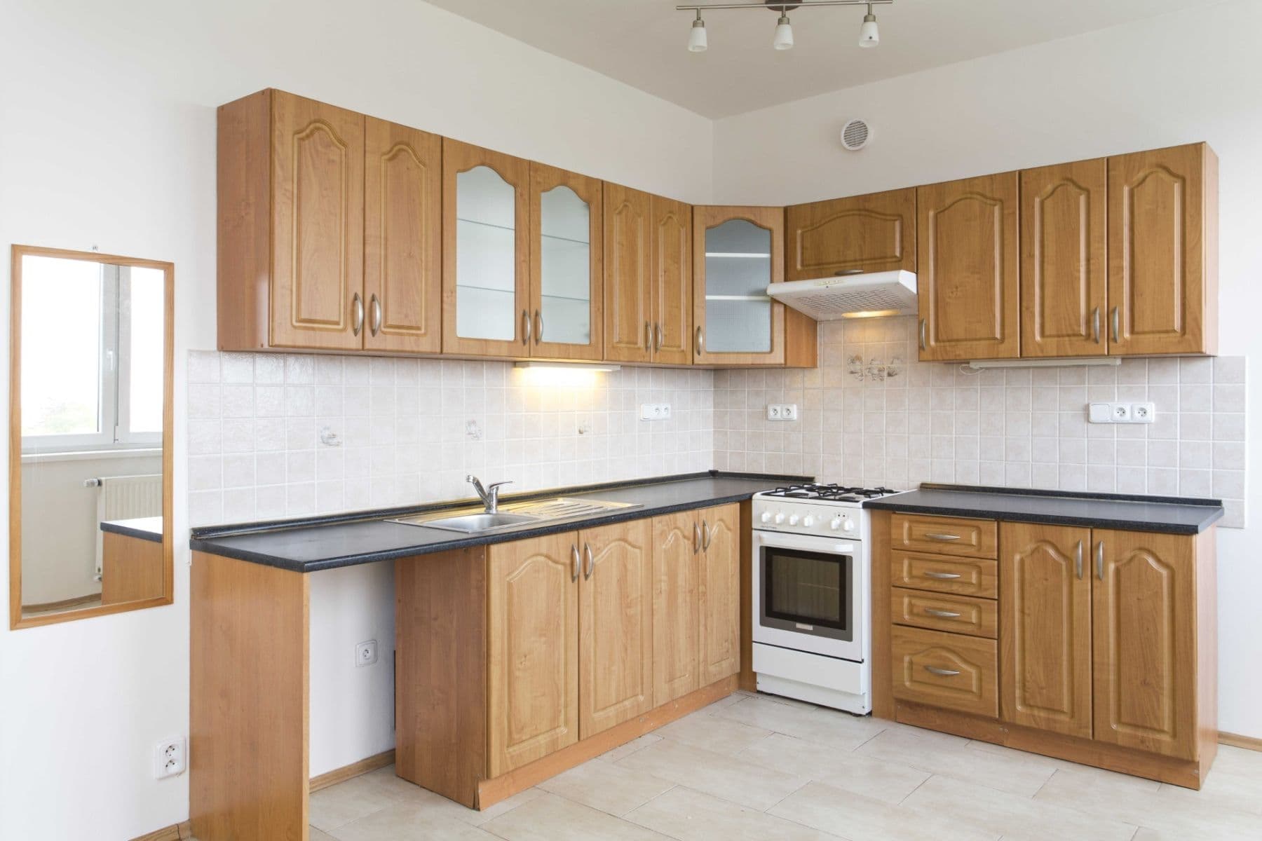 1 bedroom with open-plan kitchen flat to rent, 47 m², Česká, Prague, Prague 1 bedroom with open-plan kitchen flat to rent, 47 m², Česká, Prague, Prague