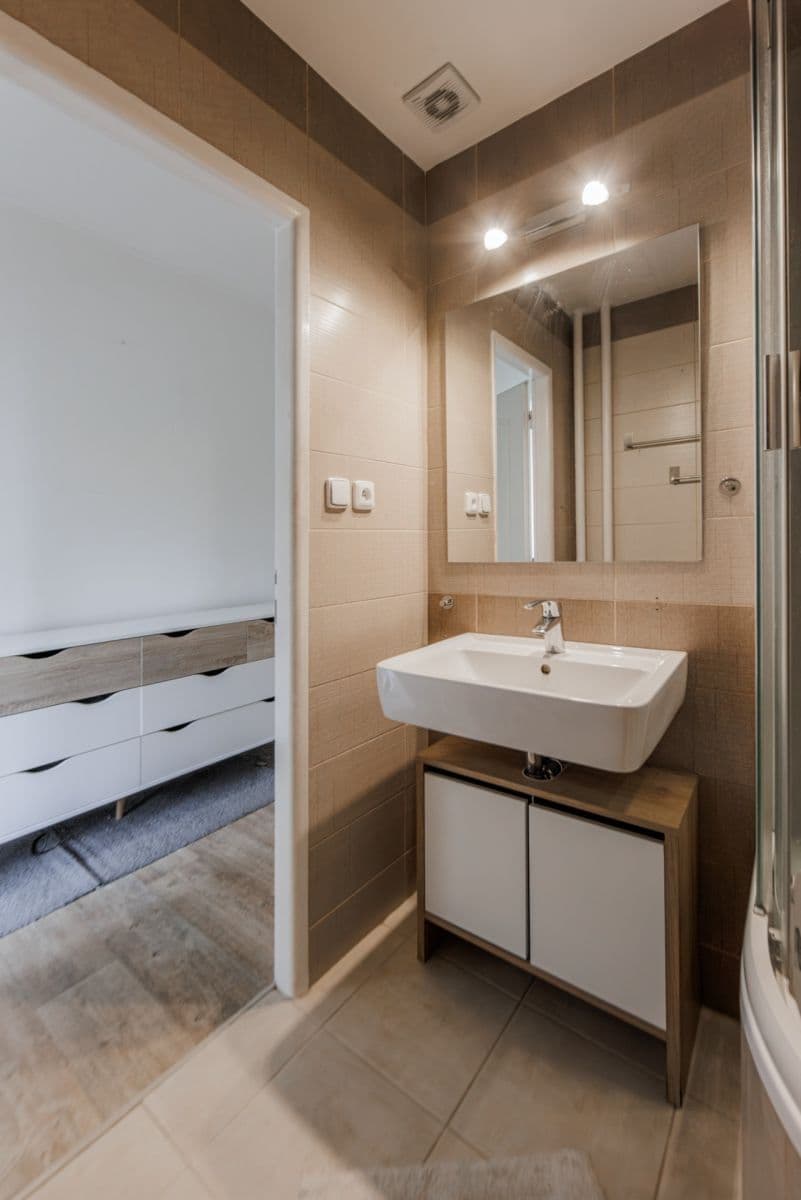 1 bedroom with open-plan kitchen flat to rent, 59 m², Bramboříková, Prague, Prague 1 bedroom with open-plan kitchen flat to rent, 59 m², Bramboříková, Prague, Prague