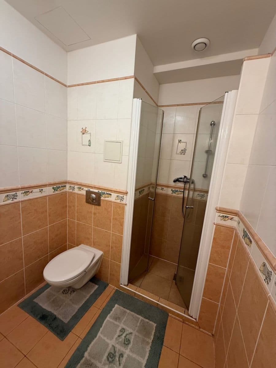 1 bedroom with open-plan kitchen flat to rent, 37 m², Kuželova, Prague, Prague 1 bedroom with open-plan kitchen flat to rent, 37 m², Kuželova, Prague, Prague