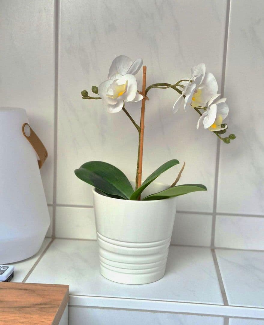 3 bedroom flat to rent, 85 m², Rödermark, Hesse 3 bedroom flat to rent, 85 m², Rödermark, Hesse