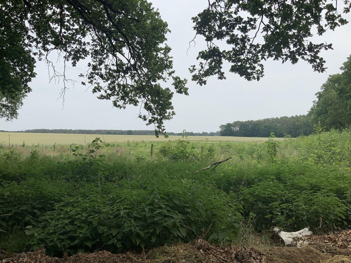 plot for sale, 170,000 m², Schulzendorf, Brandenburg plot for sale, 170,000 m², Schulzendorf, Brandenburg