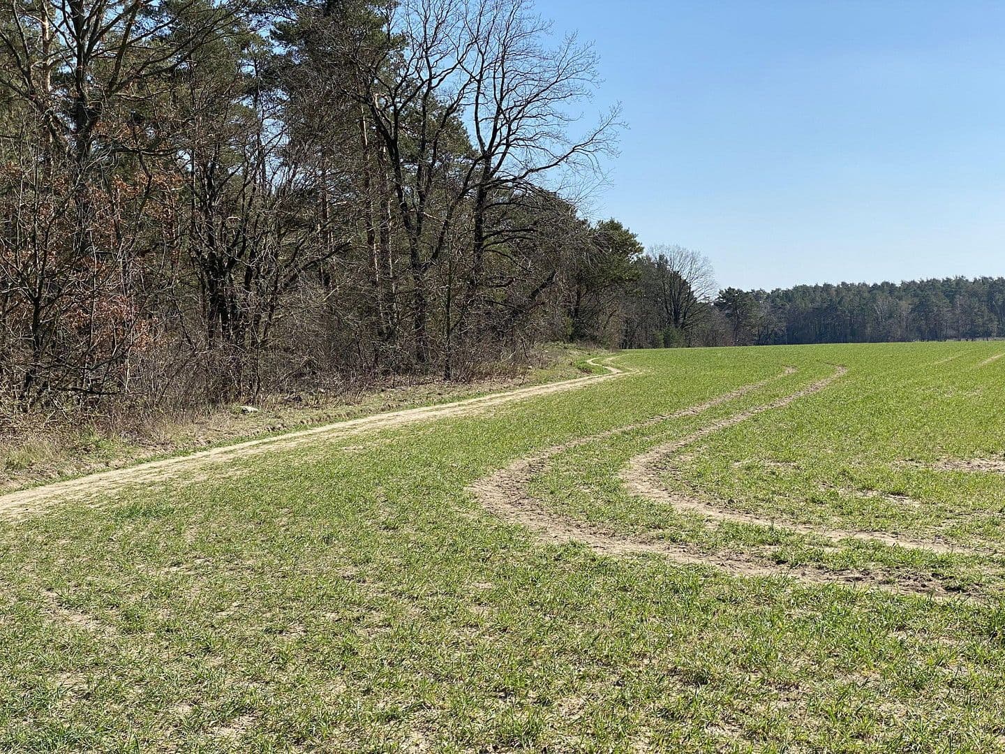 plot for sale, 170,000 m², Schulzendorf, Brandenburg plot for sale, 170,000 m², Schulzendorf, Brandenburg