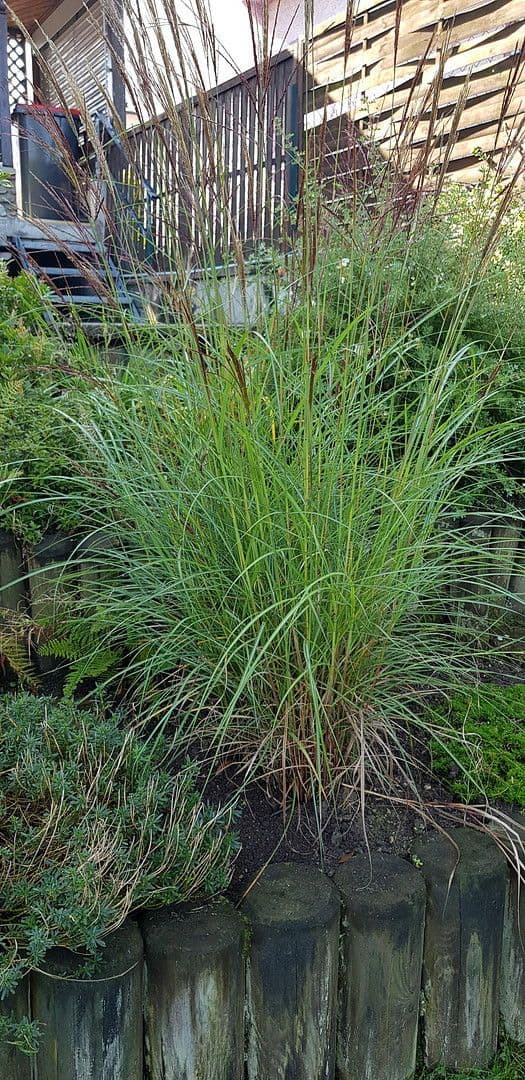 house for sale, 210 m², Weitraerstrasse 10, Gmünd, Lower Austria house for sale, 210 m², Weitraerstrasse 10, Gmünd, Lower Austria