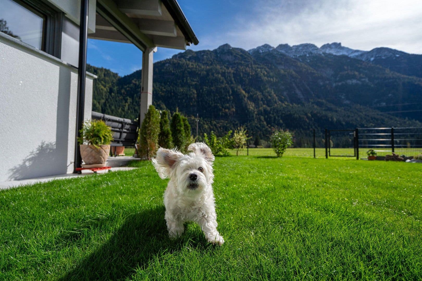 house for sale, 156 m², Leutasch, Tyrol house for sale, 156 m², Leutasch, Tyrol