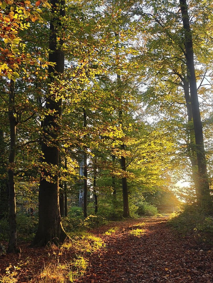 house for sale, 493 m², Glashütten, Hesse house for sale, 493 m², Glashütten, Hesse