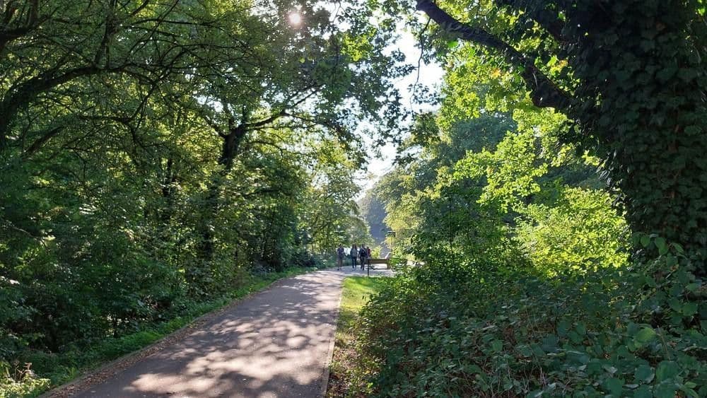 2 bedroom flat to rent, 40 m², Bürgerstraße 40, Hamburg, Hamburg 2 bedroom flat to rent, 40 m², Bürgerstraße 40, Hamburg, Hamburg